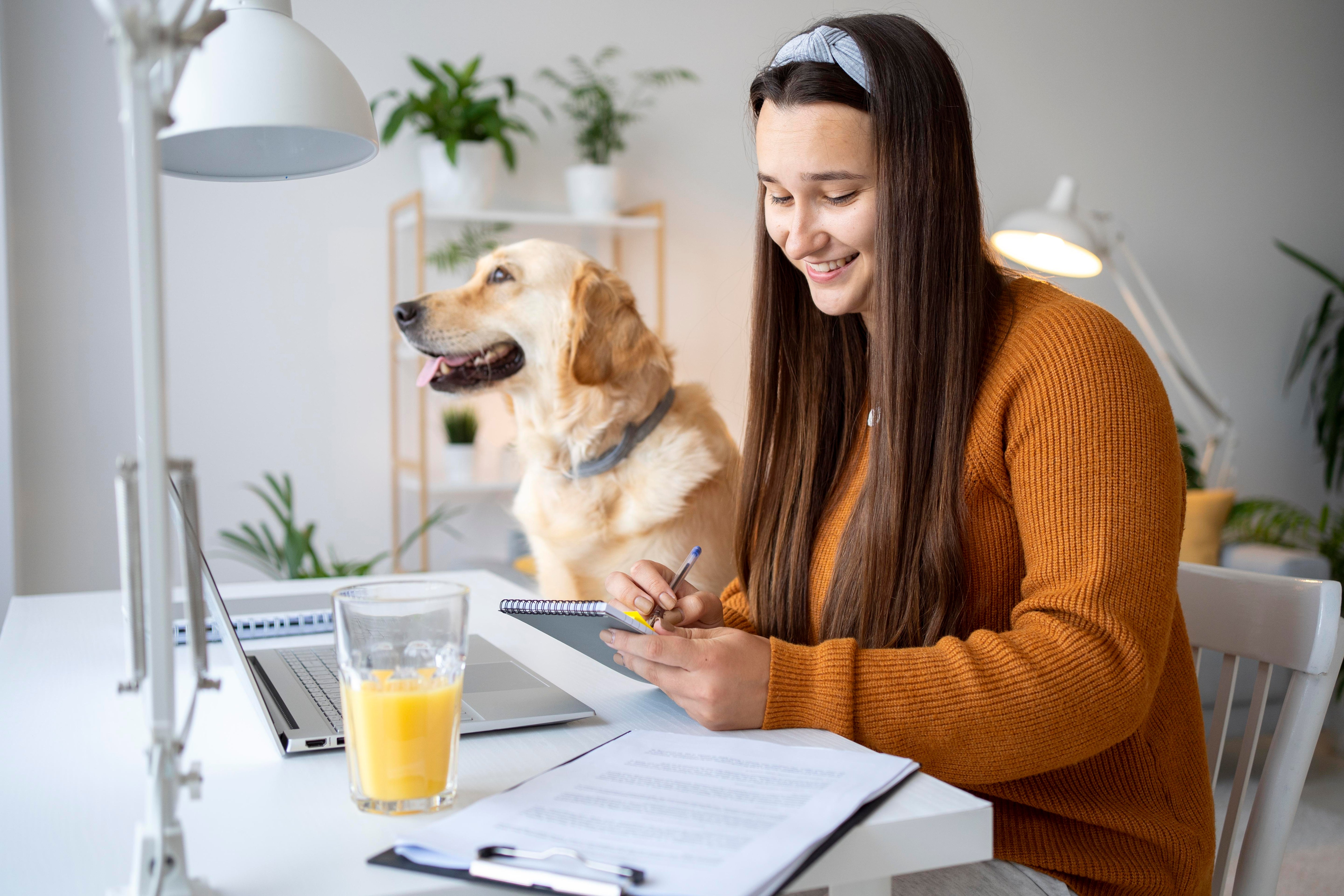 Como economizar na alimentação sem prejudicar a saúde do pet