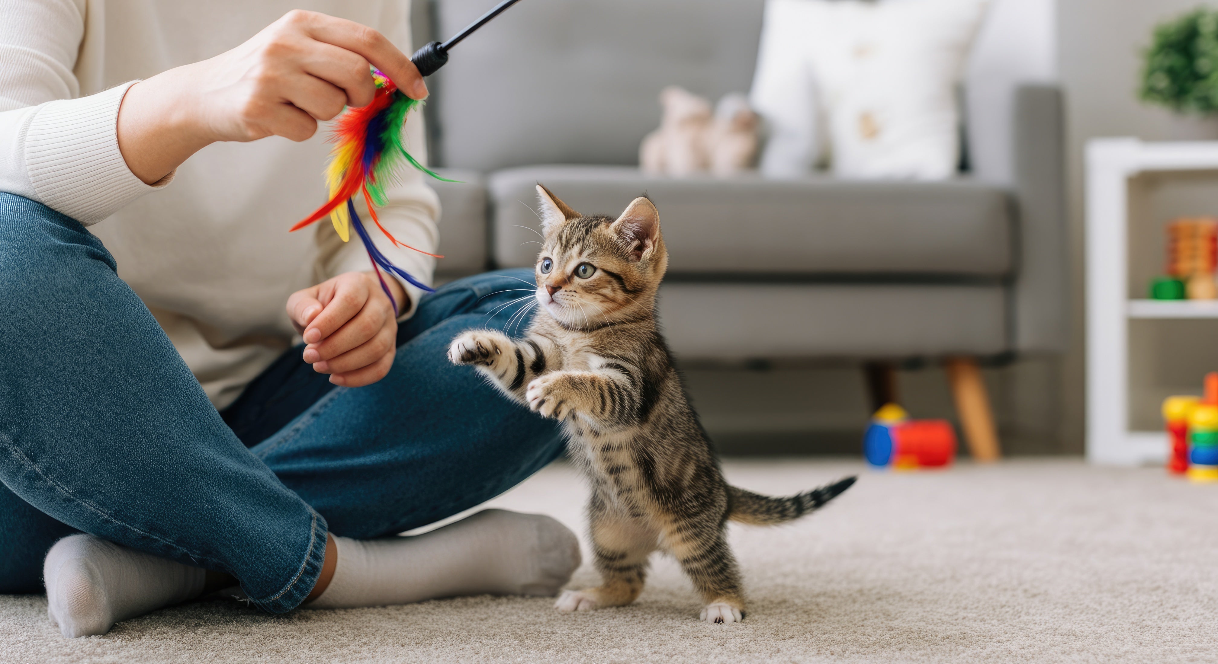 Por que alguns pets escolhem sempre a mesma pessoa da casa como favorita?