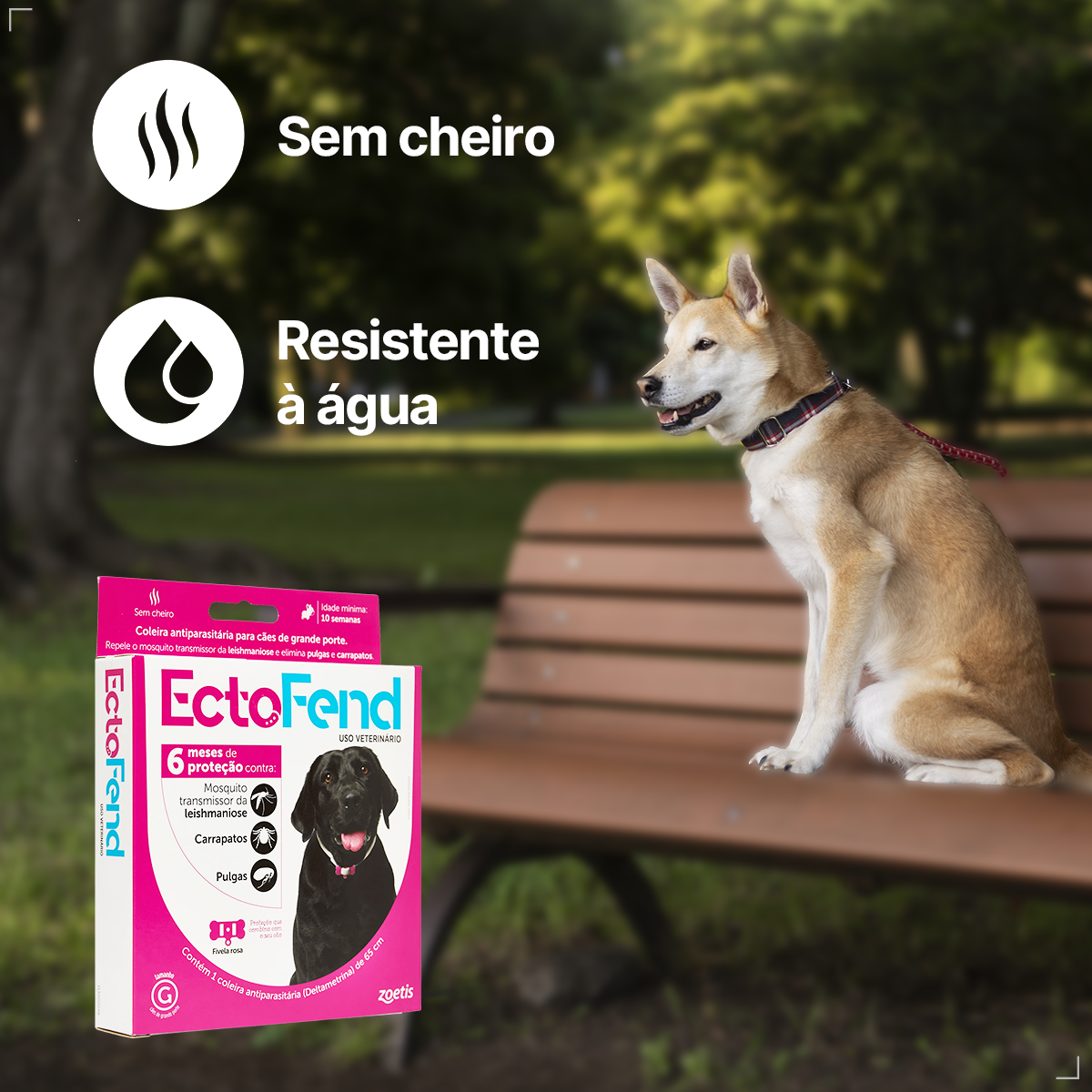 Coleira Ectofend Anti pulgas Carrapatos 48cm Leishmaniose P