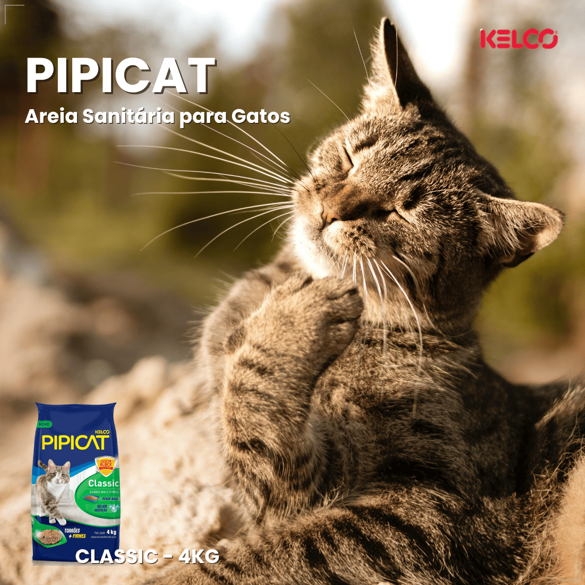 Kit 2  Areia Higienica Gato Pipicat Classic Elimina Odor 4kg