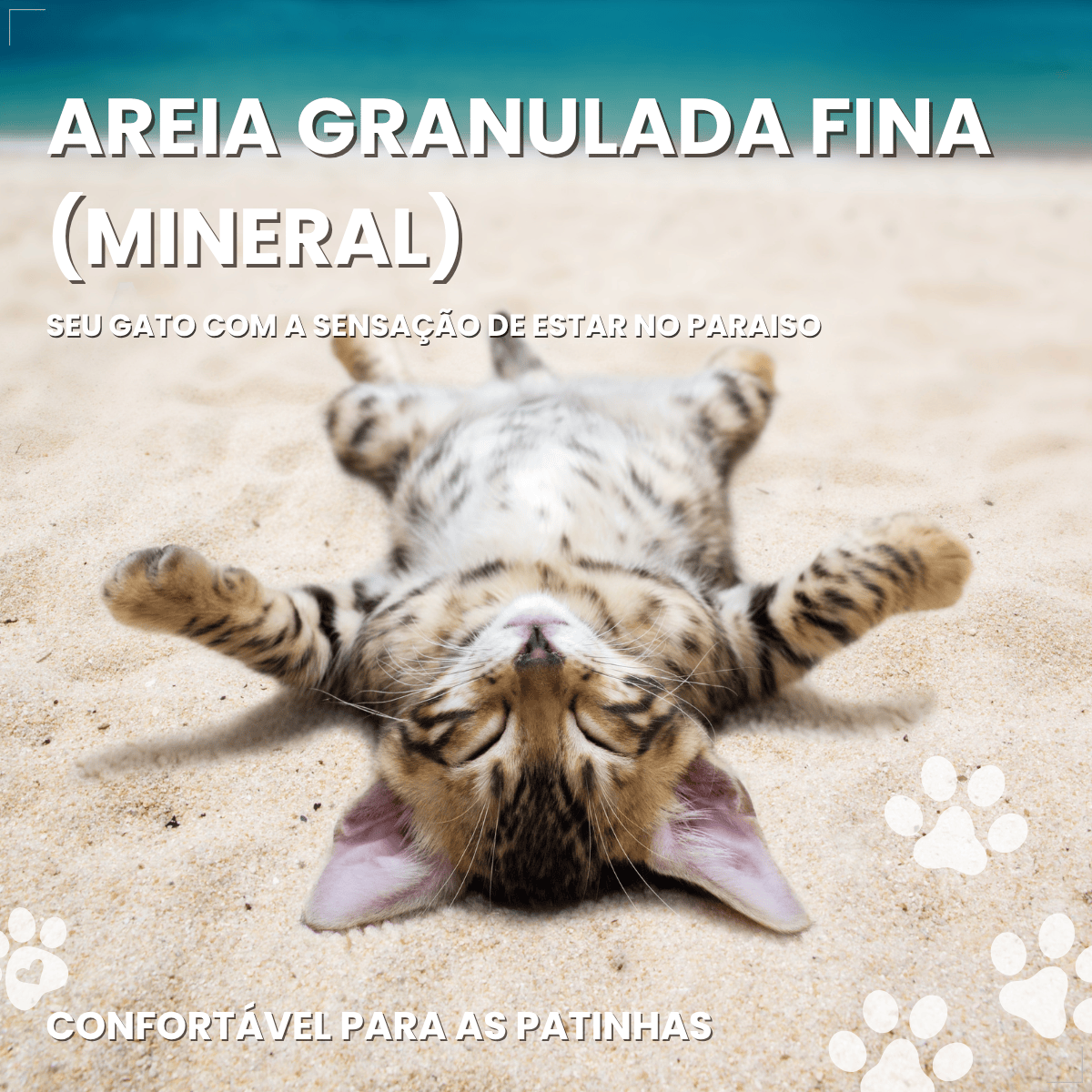 Kit 2  Areia Higienica Gato Pipicat Classic Elimina Odor 4kg