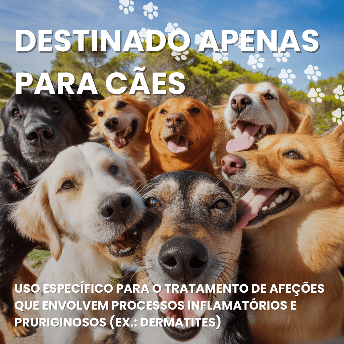 Zenrelia Antialérgico Para Dermatite Coceiras 6,4mg 30 Comp