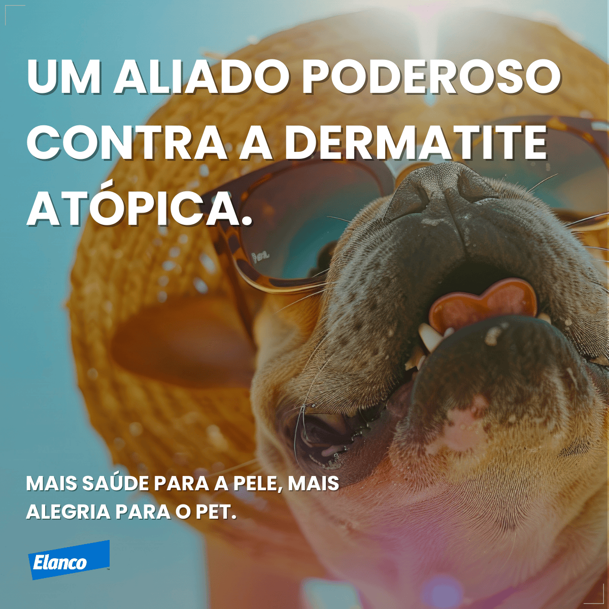 Zenrelia Antialérgico Para Dermatite Coceiras 6,4mg 30 Comp