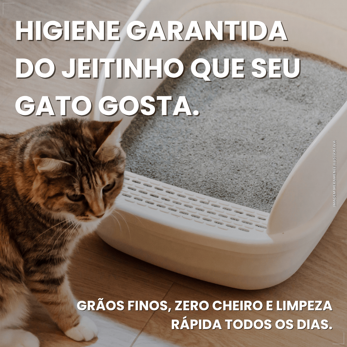 Kit 2  Areia Higienica Gato Pipicat Classic Elimina Odor 4kg