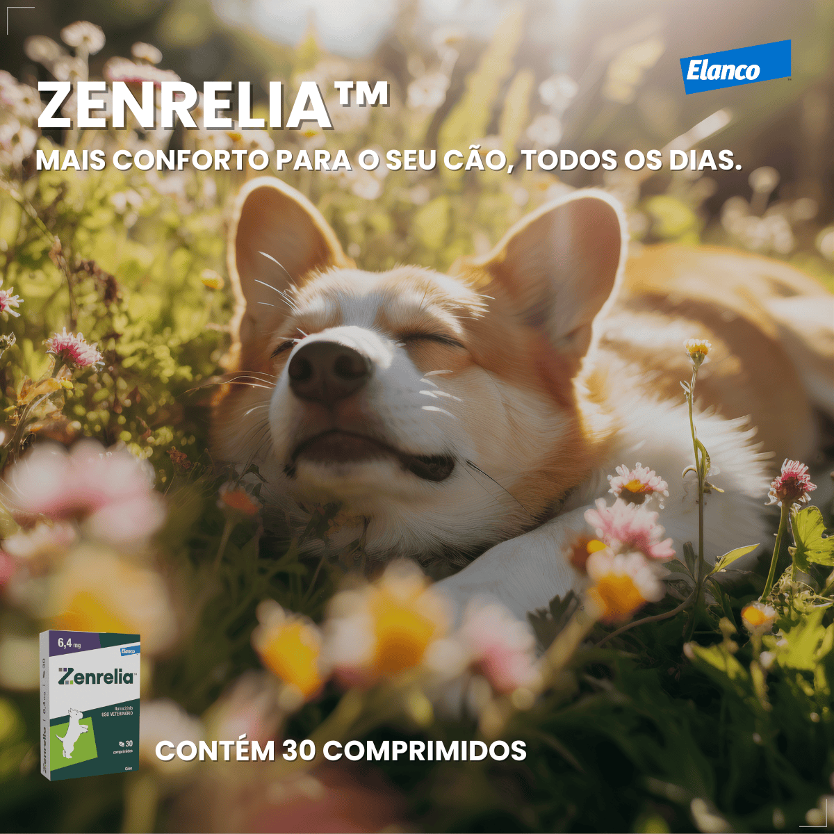 Zenrelia Antialérgico Para Dermatite Coceiras 6,4mg 30 Comp