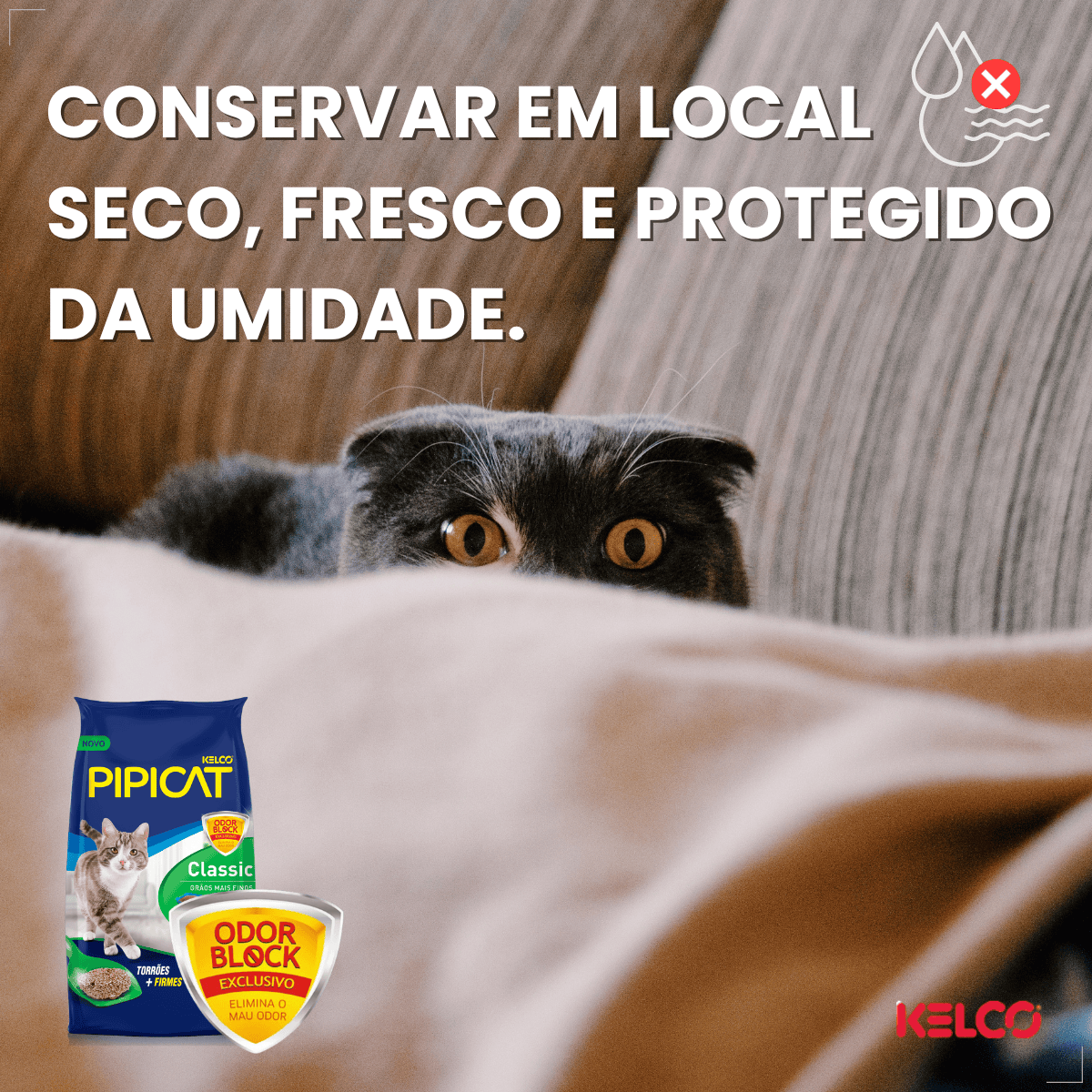 Areia Higienica para gatos Pipicat Classic Elimina Odor 4kg