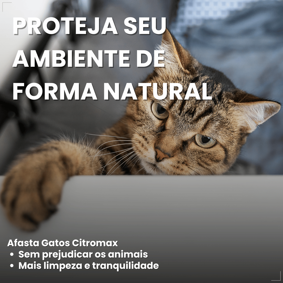Afasta Gato Citromax 300 g