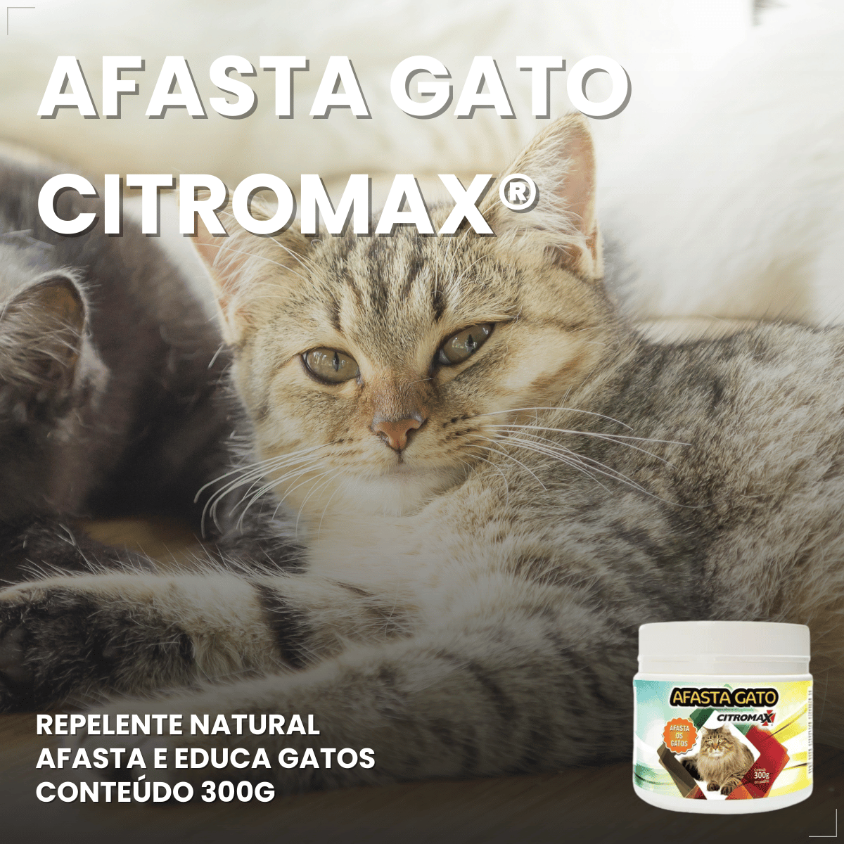 Afasta Gato Citromax 300 g