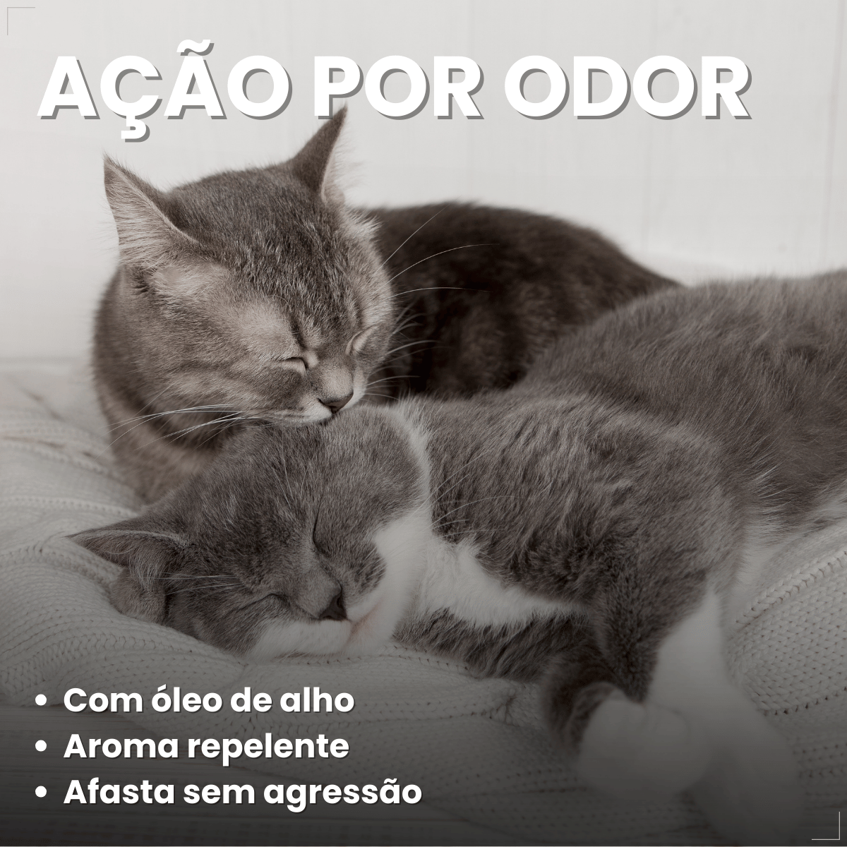 Afasta Gato Citromax 300 g
