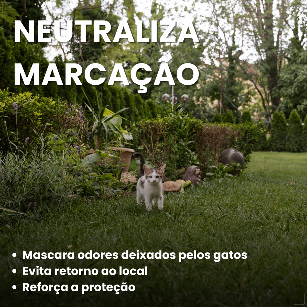 Afasta Gato Citromax 300 g