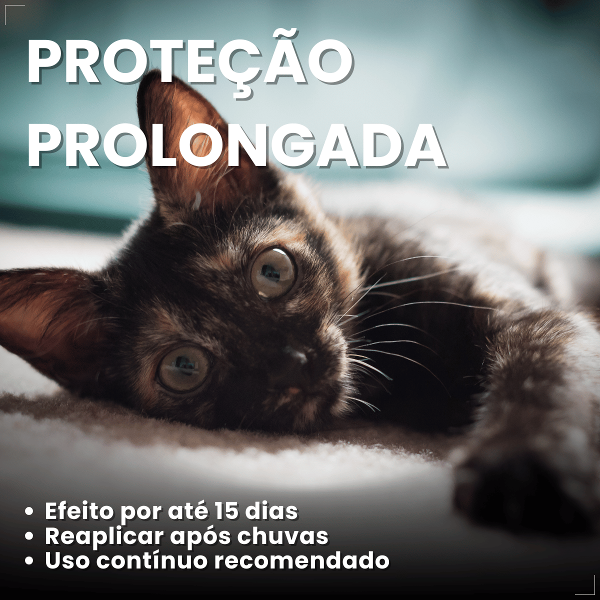 Afasta Gato Citromax 300 g