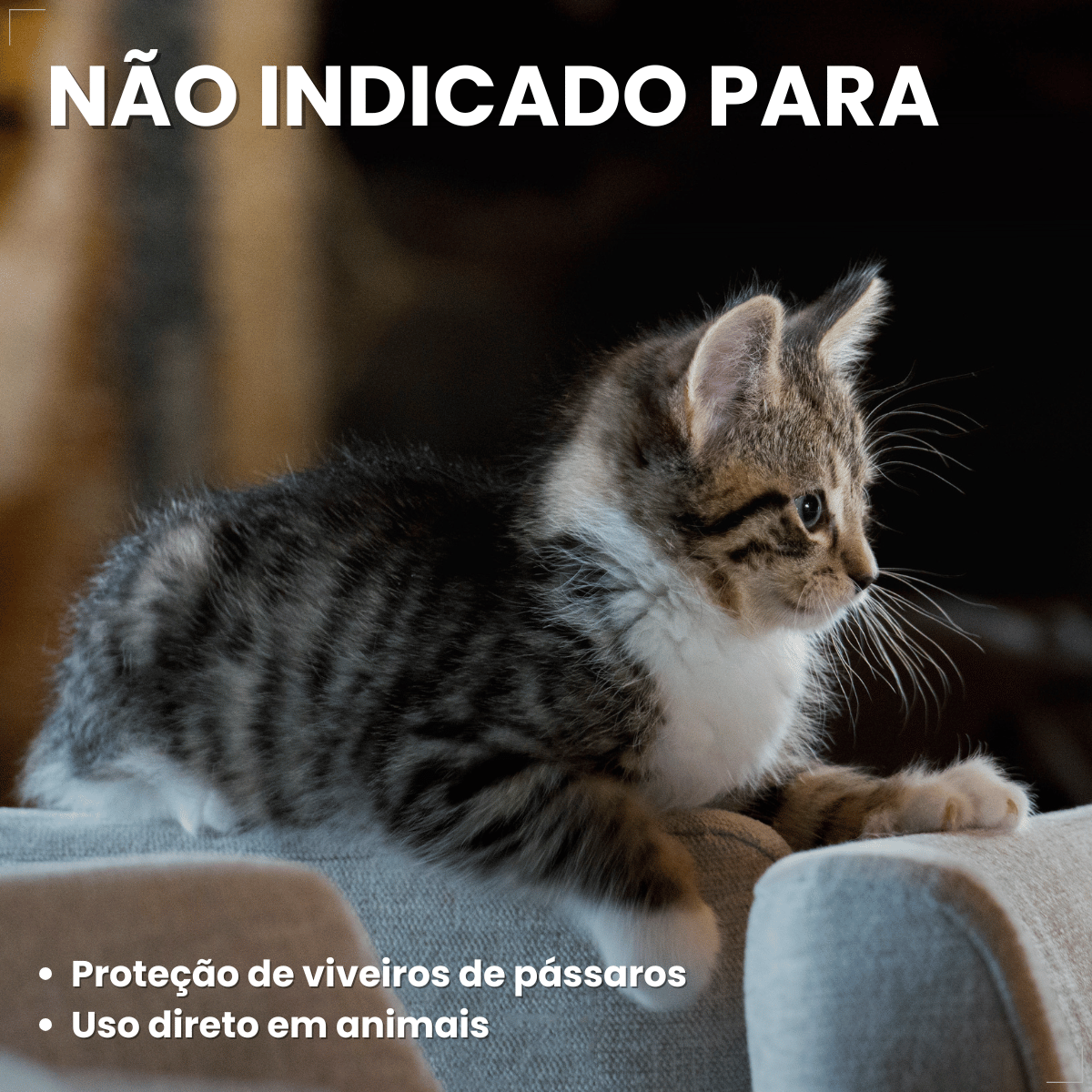 Spray Citromax Afasta Gato Repelente Educa  - 500ml