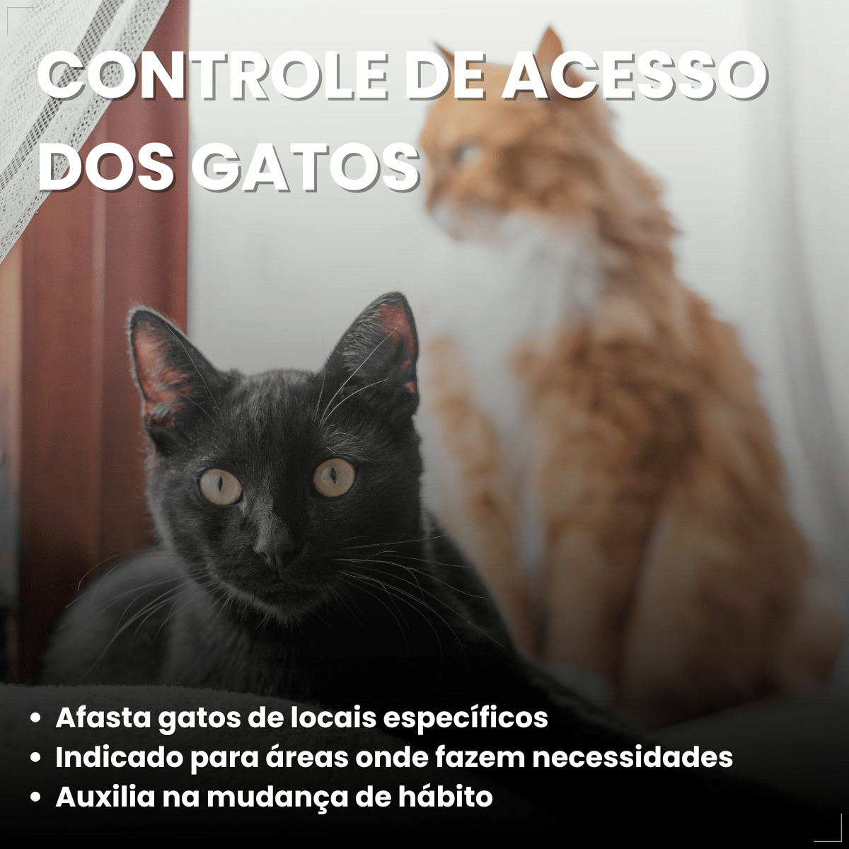 Spray Citromax Afasta Gato Repelente Educa  - 500ml