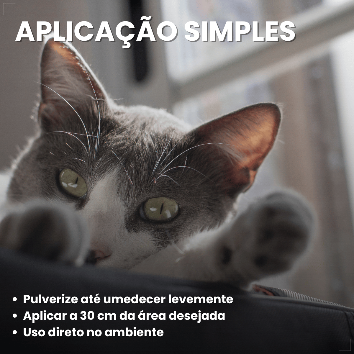 Spray Citromax Afasta Gato Repelente Educa  - 500ml