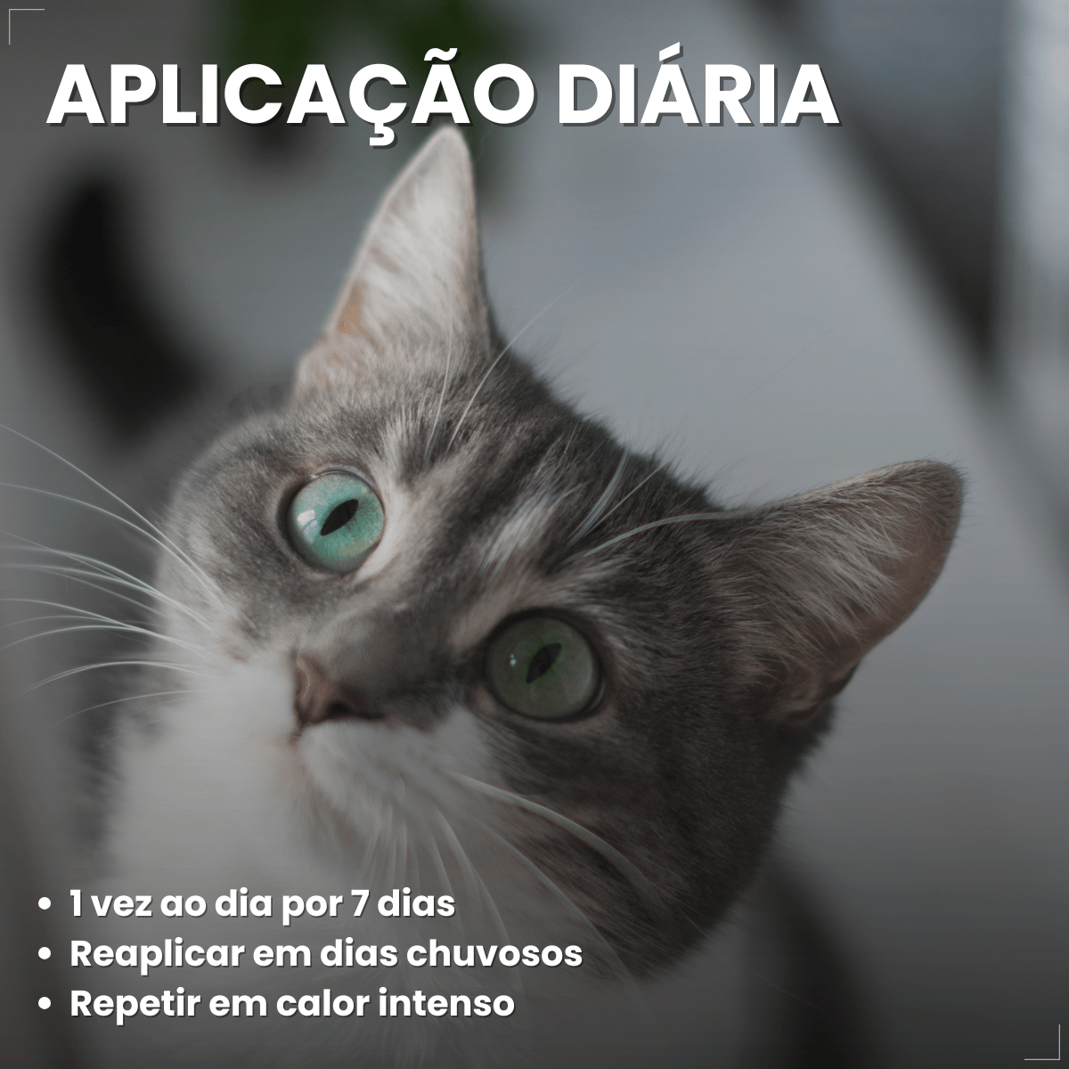 Spray Citromax Afasta Gato Repelente Educa  - 500ml