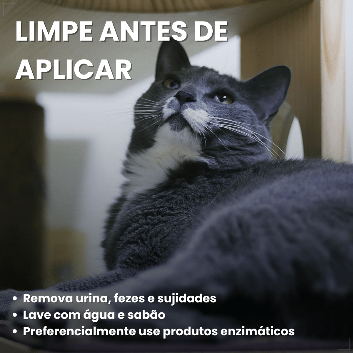 Spray Citromax Afasta Gato Repelente Educa  - 500ml