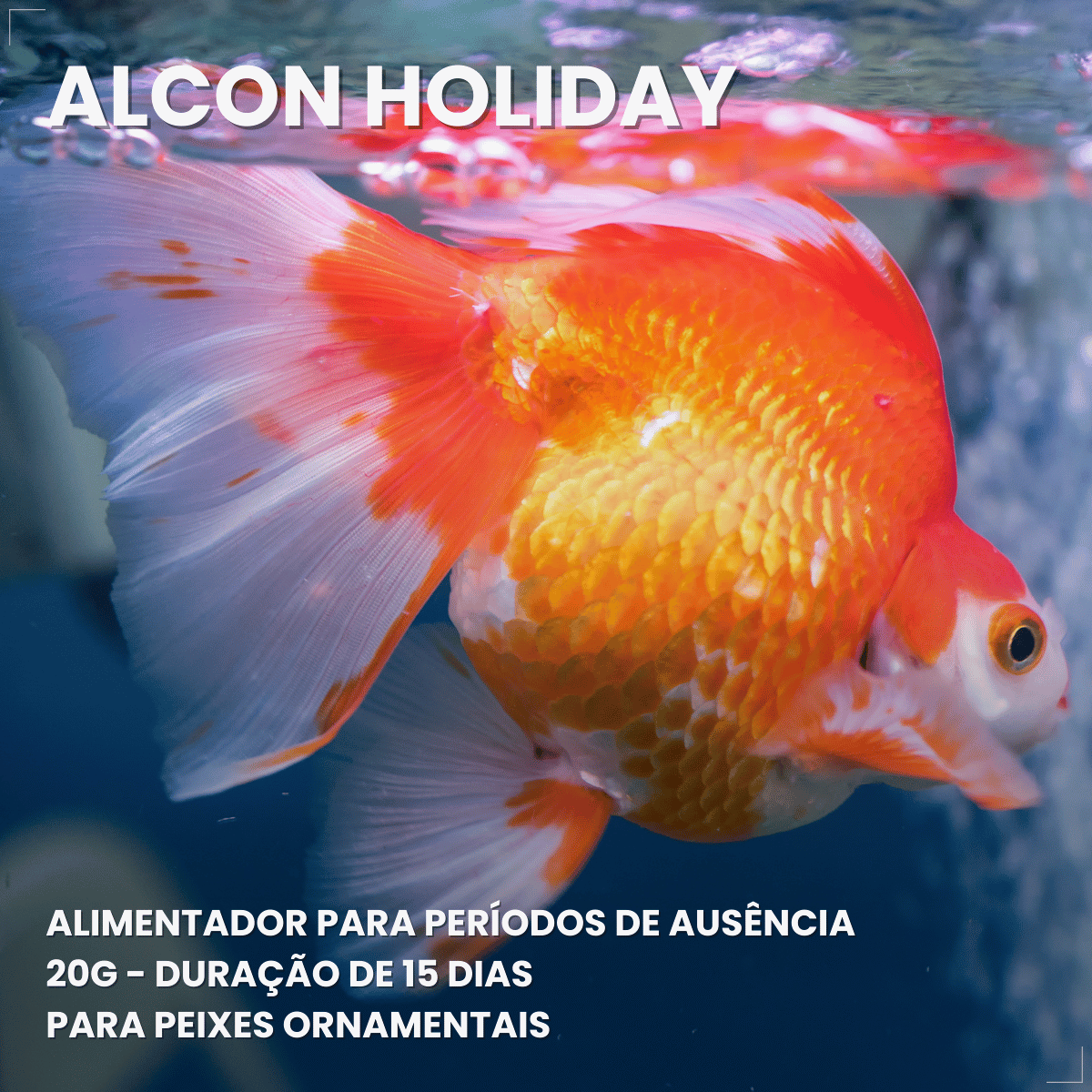 Kit 5 Ração  Alimento Para Peixes Alcon Holiday15 Dias 20g