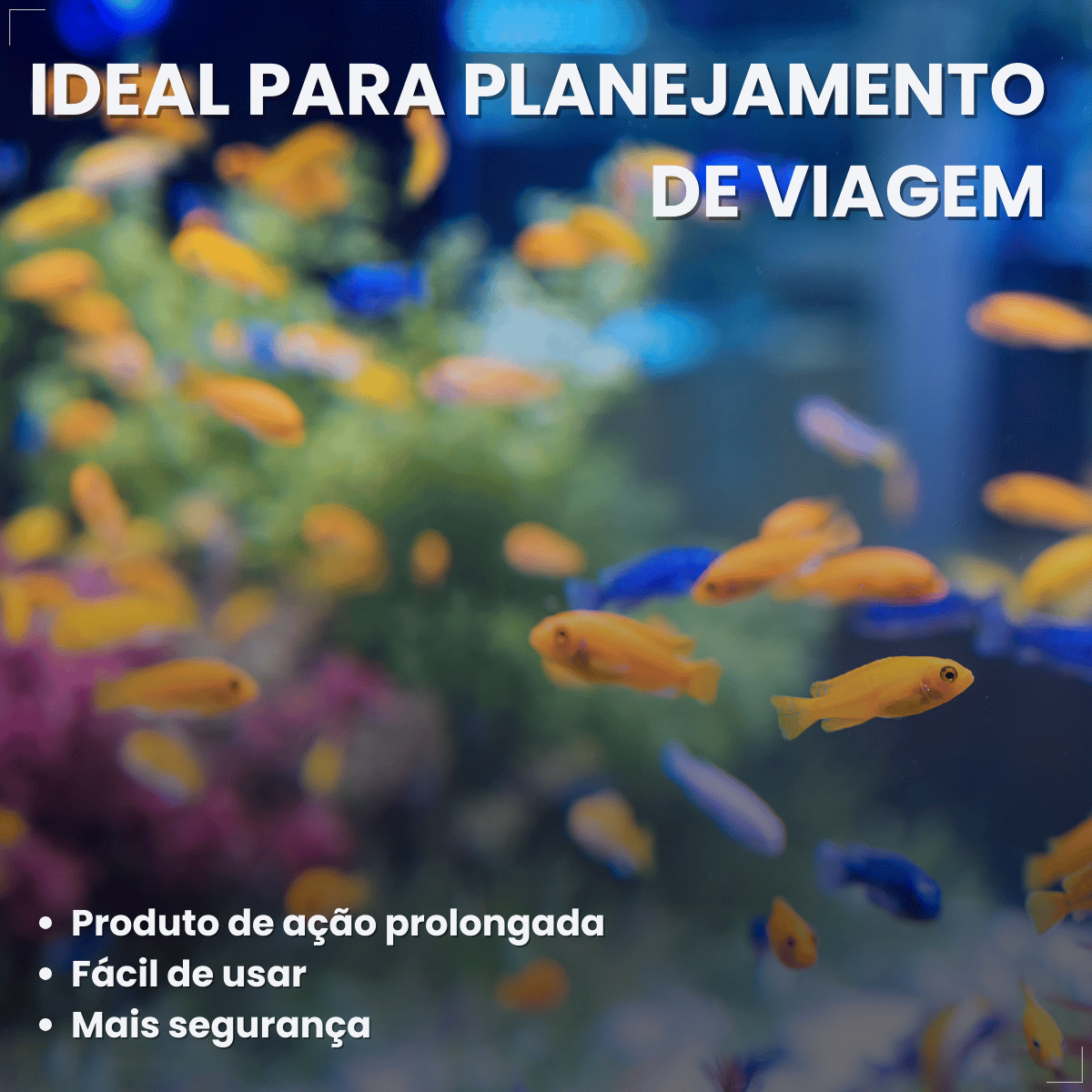 Kit 5 Ração  Alimento Para Peixes Alcon Holiday15 Dias 20g