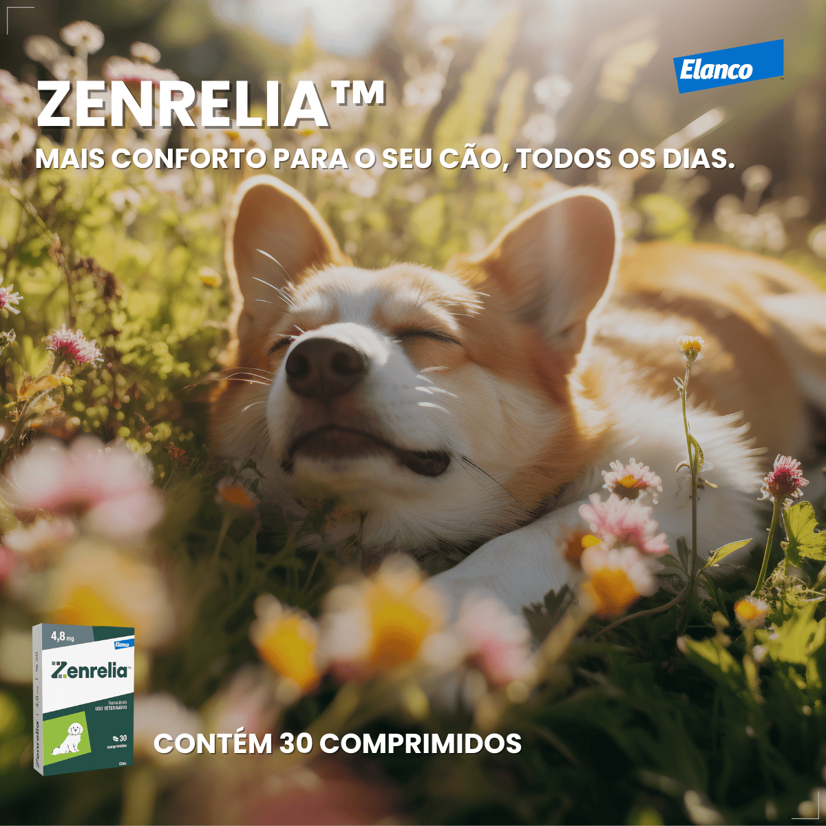 Zenrelia Tratamento Dermatite Alérgica Atópica Coceira 4,8mg