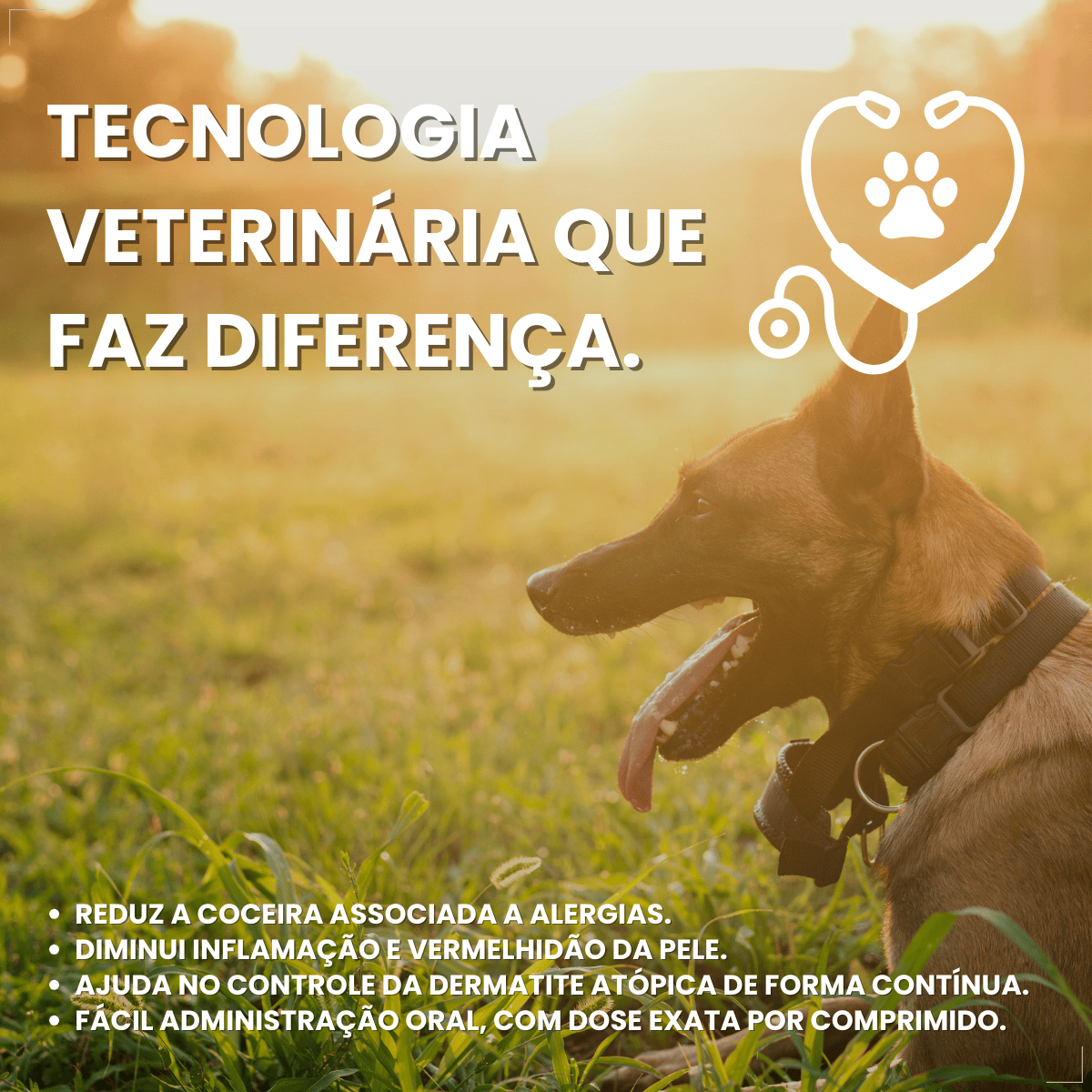 Zenrelia Tratamento Dermatite Alérgica Atópica Coceira 4,8mg