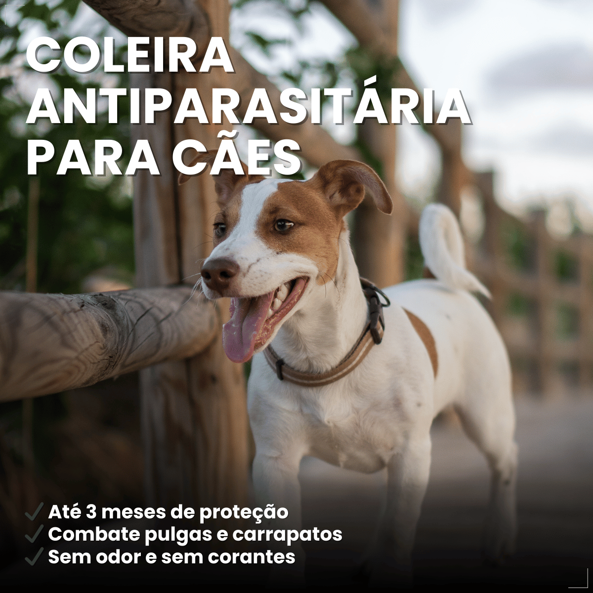 Coleira Antiparasitária World 56 cm para Cães