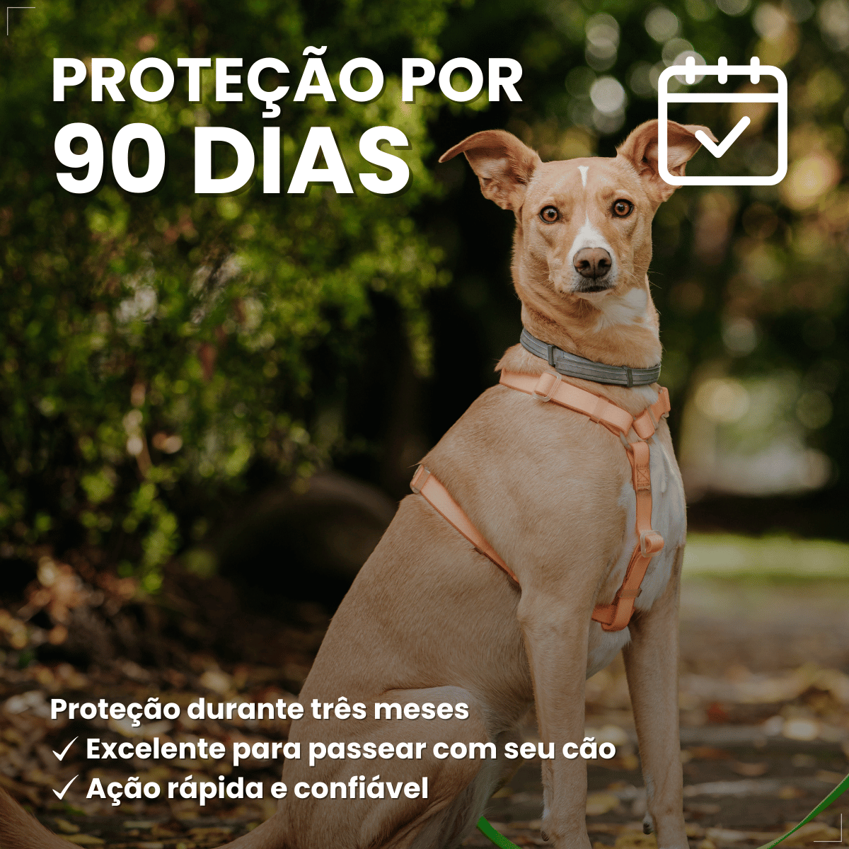 Coleira Antiparasitária World 56 cm para Cães