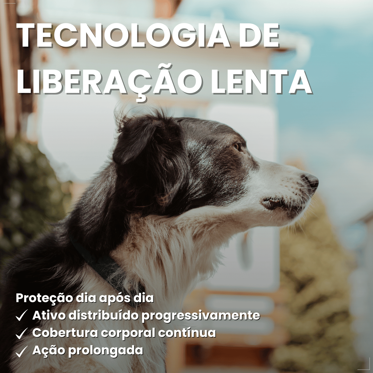 Coleira Antiparasitária World 56 cm para Cães
