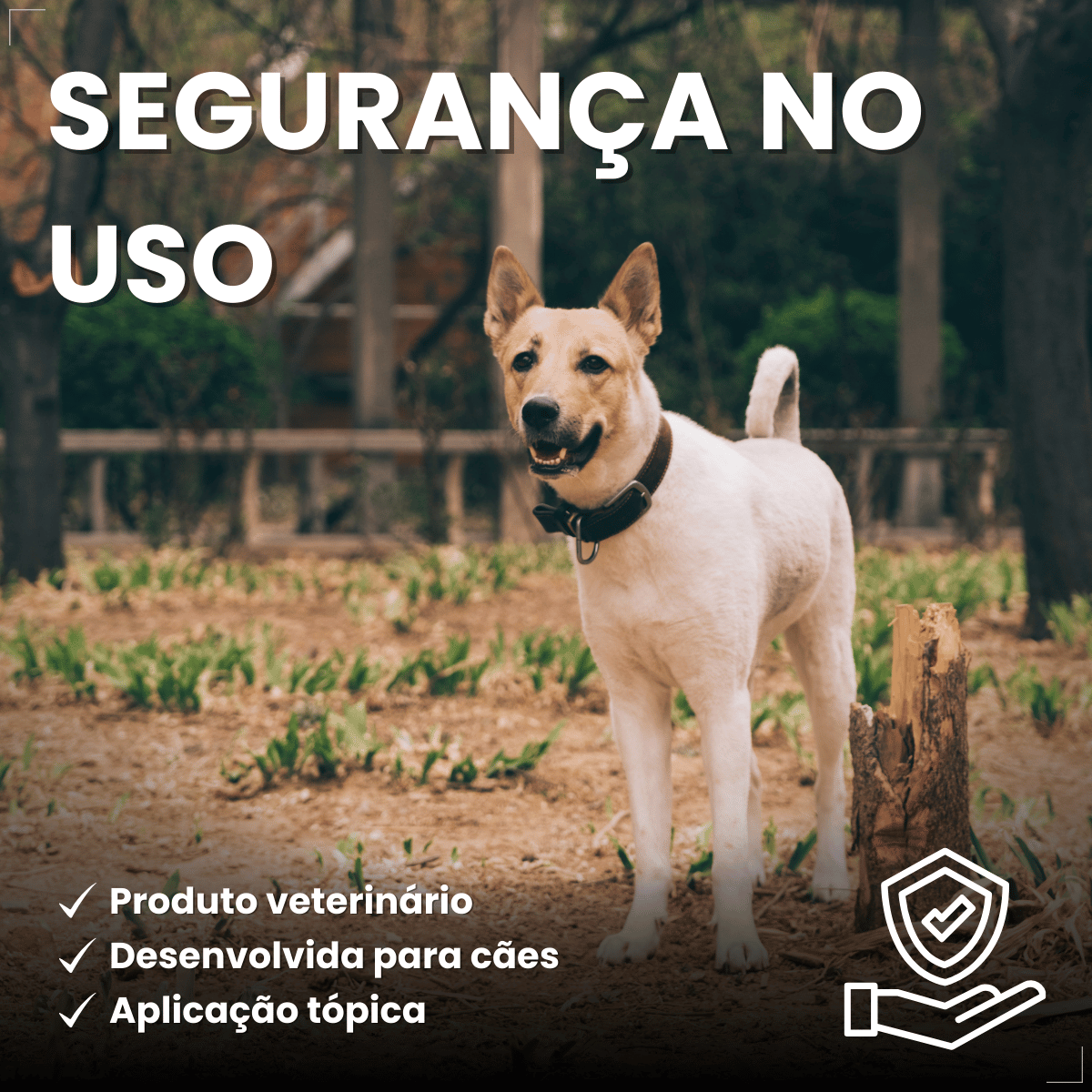 Coleira Antiparasitária World 56 cm para Cães