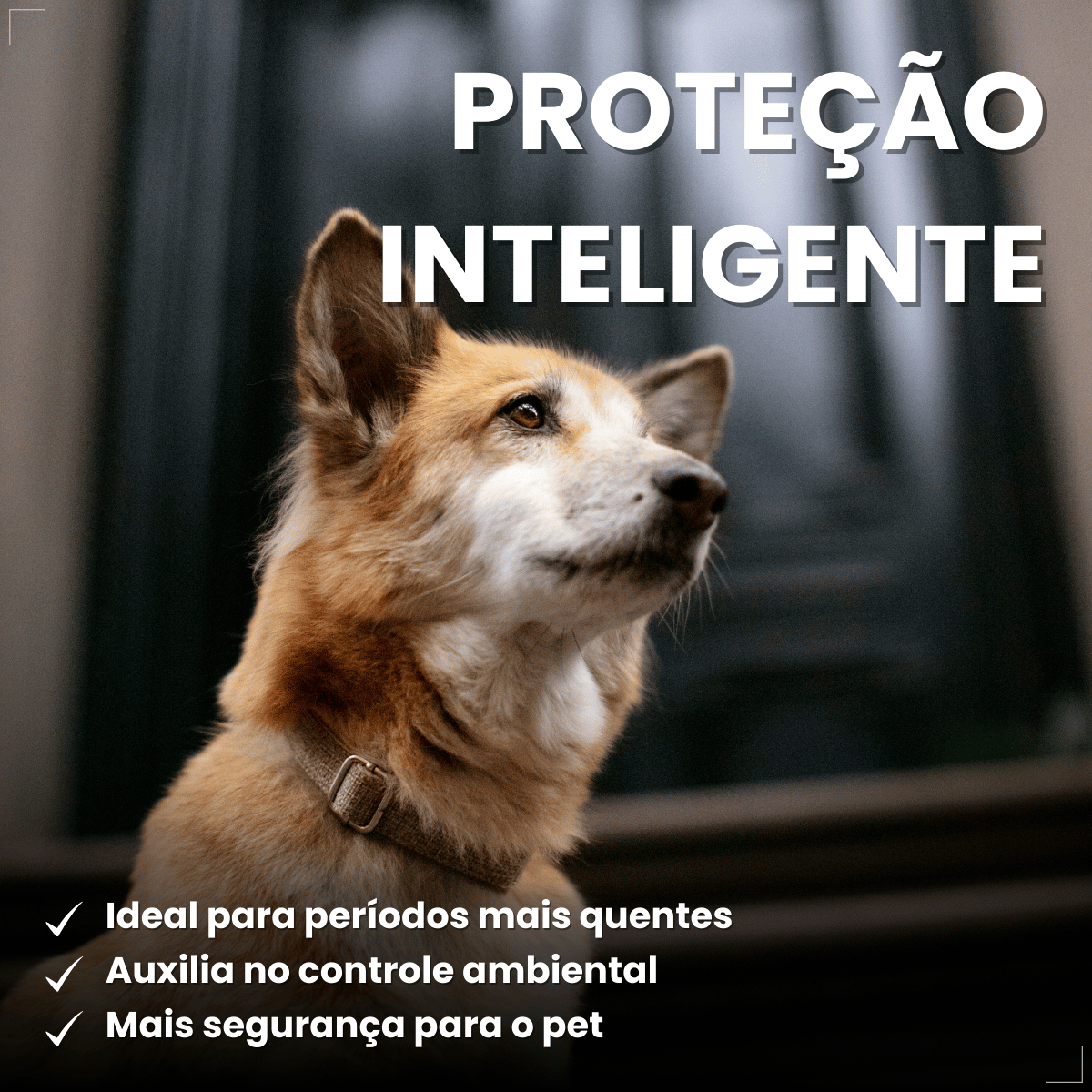Coleira Antiparasitária World 56 cm para Cães