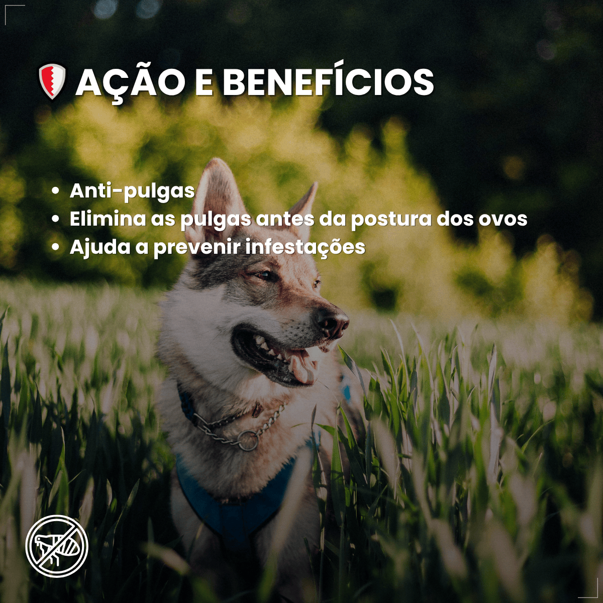 Antipulgas Elanco Comfortis 1620mg 30 Dias de Proteção 1comp