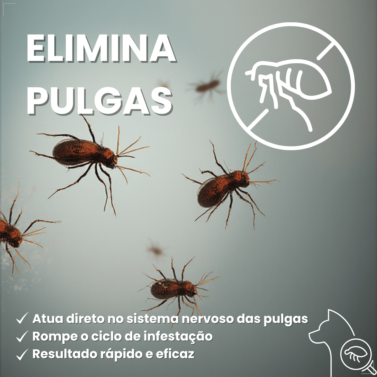 Antipulgas Elanco Comfortis 1620mg 30 Dias de Proteção 1comp