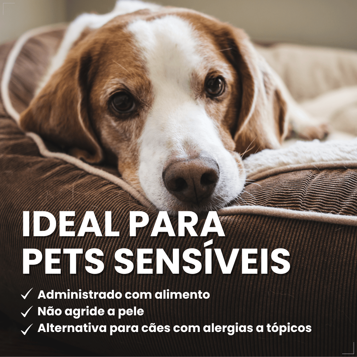 Antipulgas Elanco Comfortis 1620mg 30 Dias de Proteção 1comp