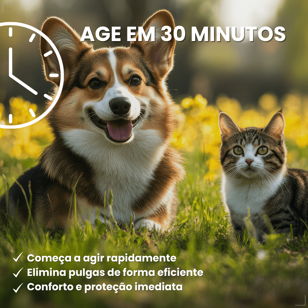 Antipulgas Elanco Comfortis 560mg 30 Dias de Proteção 1comp