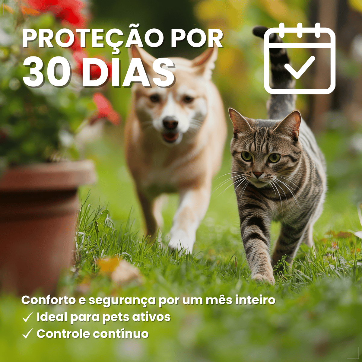 Antipulgas Elanco Comfortis 560mg 30 Dias de Proteção 1comp