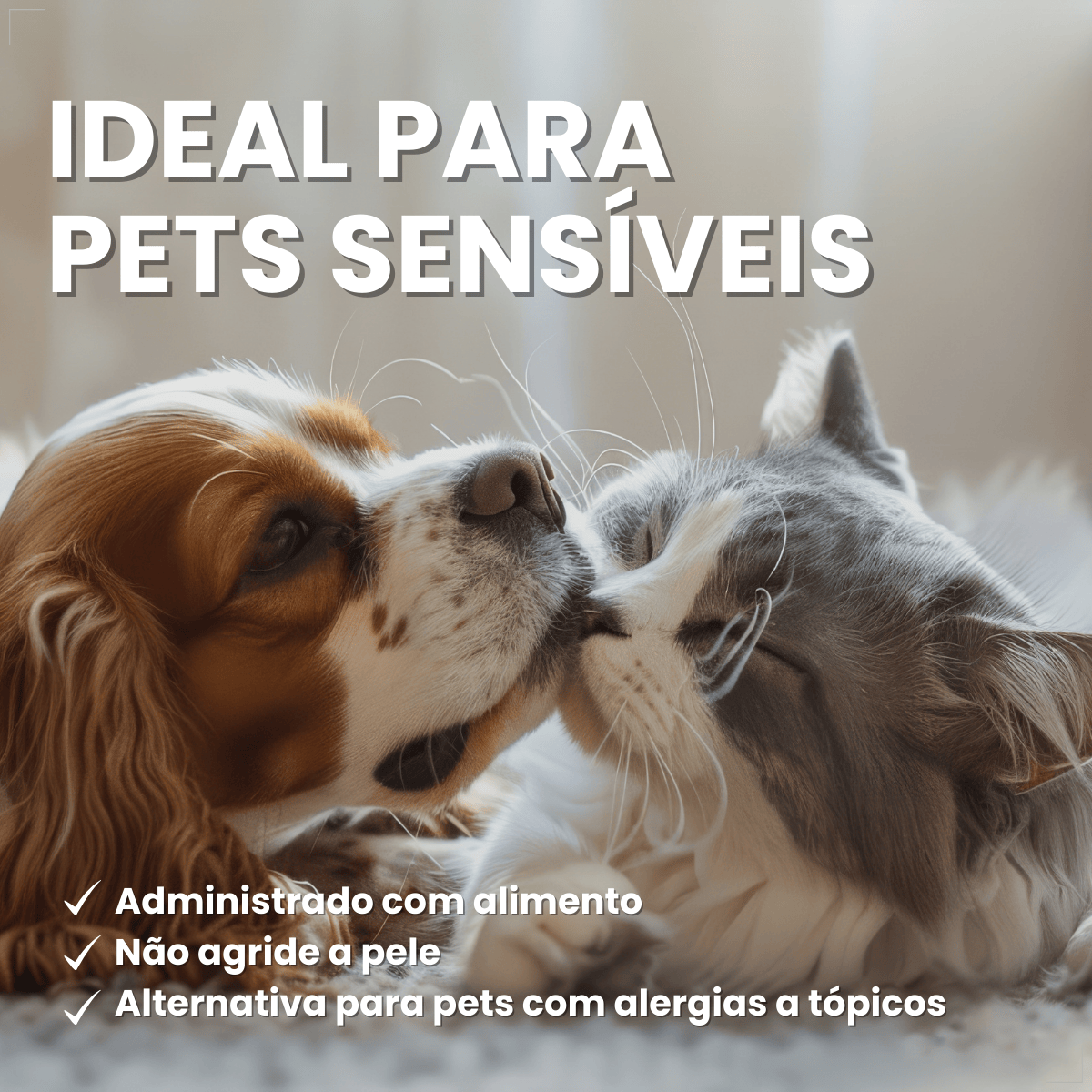 Antipulgas Elanco Comfortis 560mg 30 Dias de Proteção 1comp