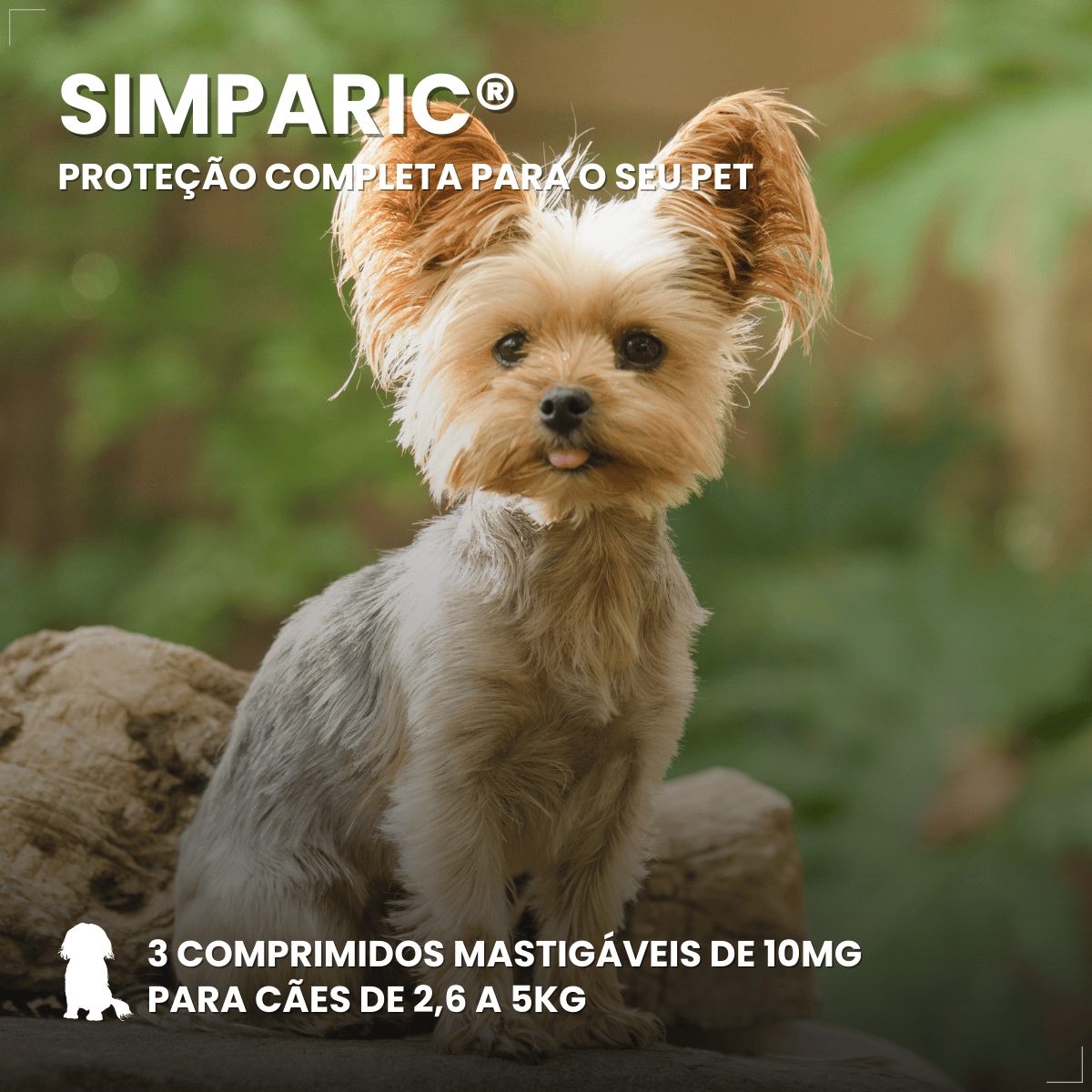 Zoetis Simparic 10 mg para Cães 2,6 a 5 Kg 3 comprimido pulgas e carrapatos