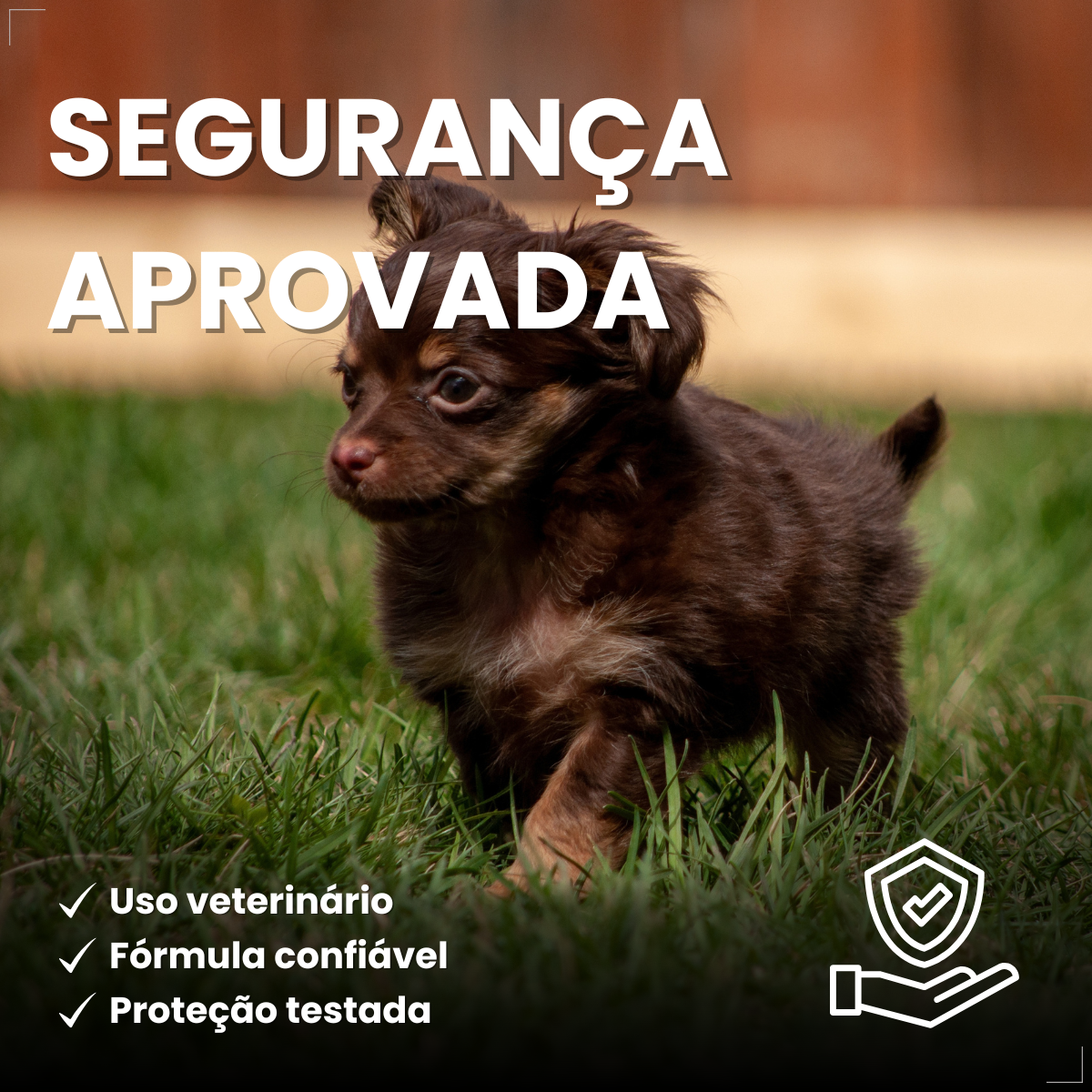 Zoetis Simparic 10 mg para Cães 2,6 a 5 Kg 1comprimido pulgas e carrapatos
