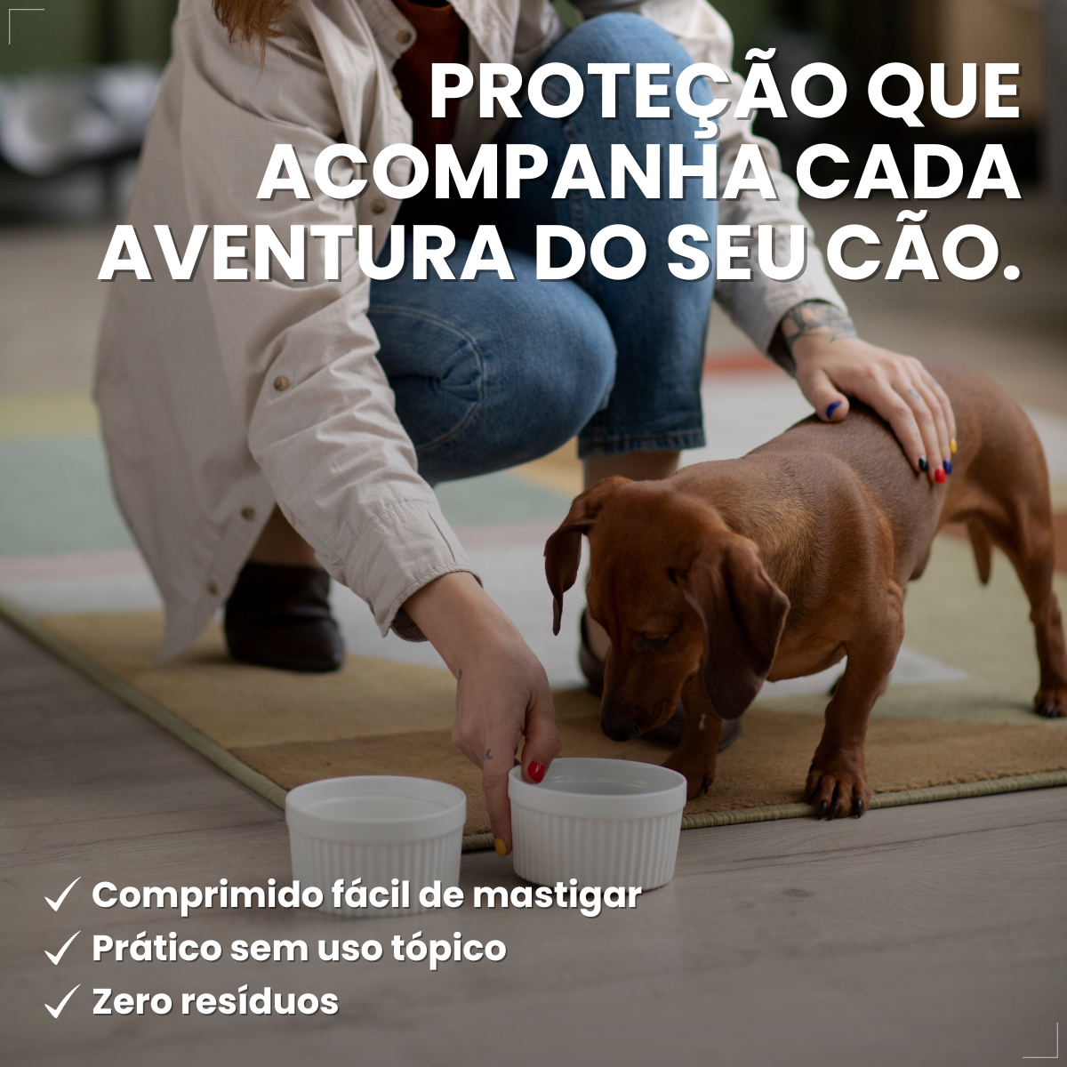 Zoetis Simparic 10 mg para Cães 2,6 a 5 Kg 1comprimido pulgas e carrapatos