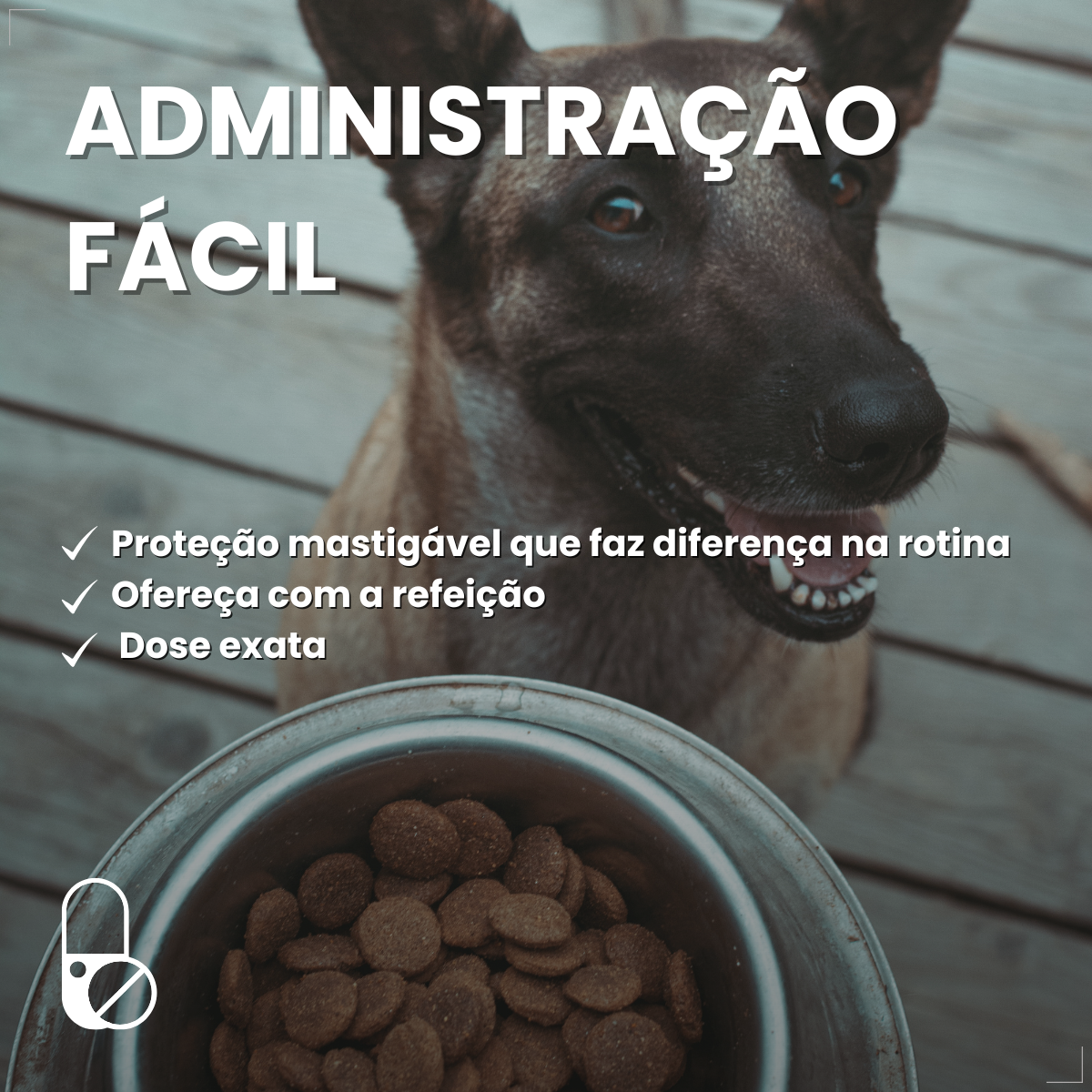 Zoetis Simparic 80 mg para Cães 20,1 a 40 Kg 3 comp