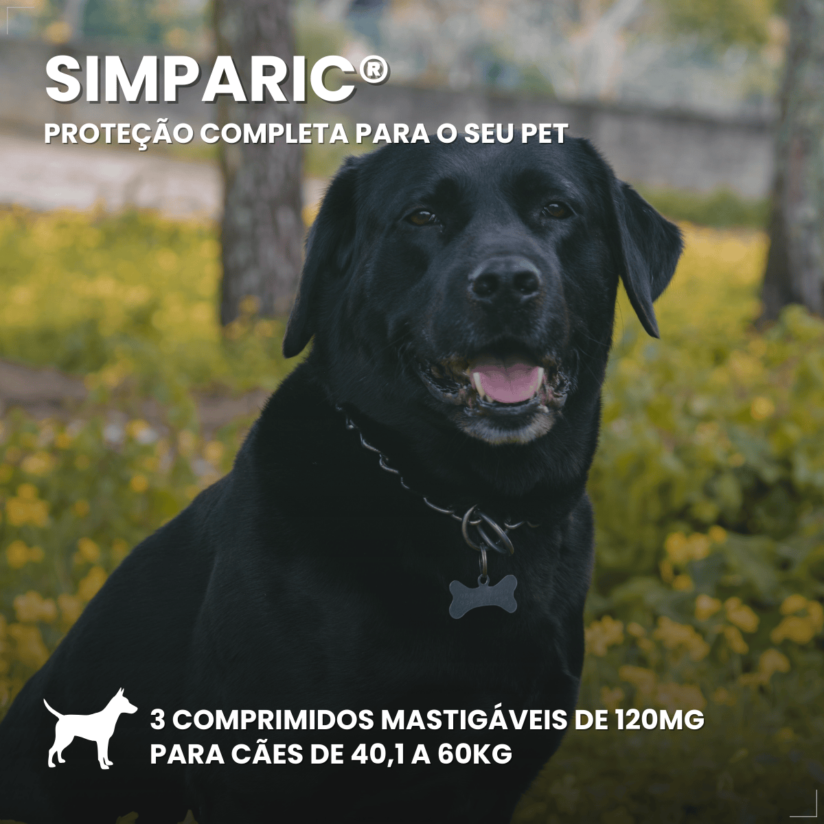 Zoetis Simparic 120mg 3 Comprimidos Cães 40.1 A 60 Kg