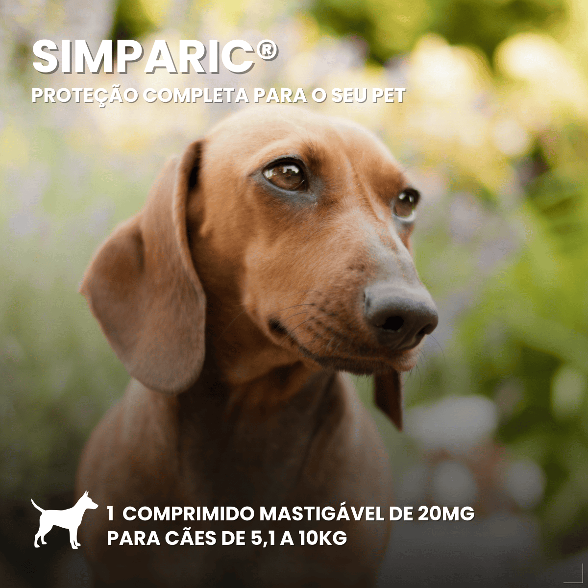 Simparic 20 Mg 5,1 A 10 Kg 1 Comprimido Zoetis