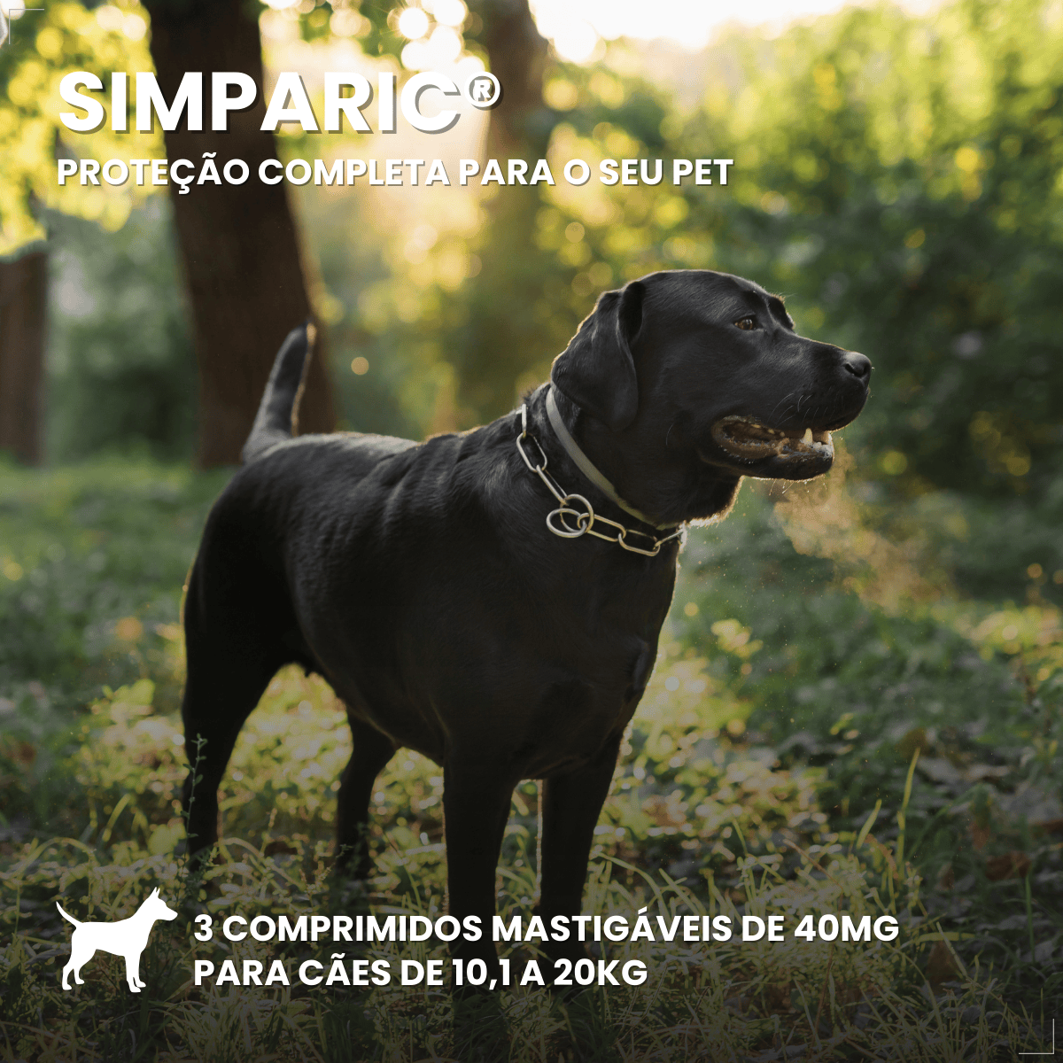 Simparic 40 Mg Antipulgas Cães 10 A 20 Kg 3 Comp Zoetis