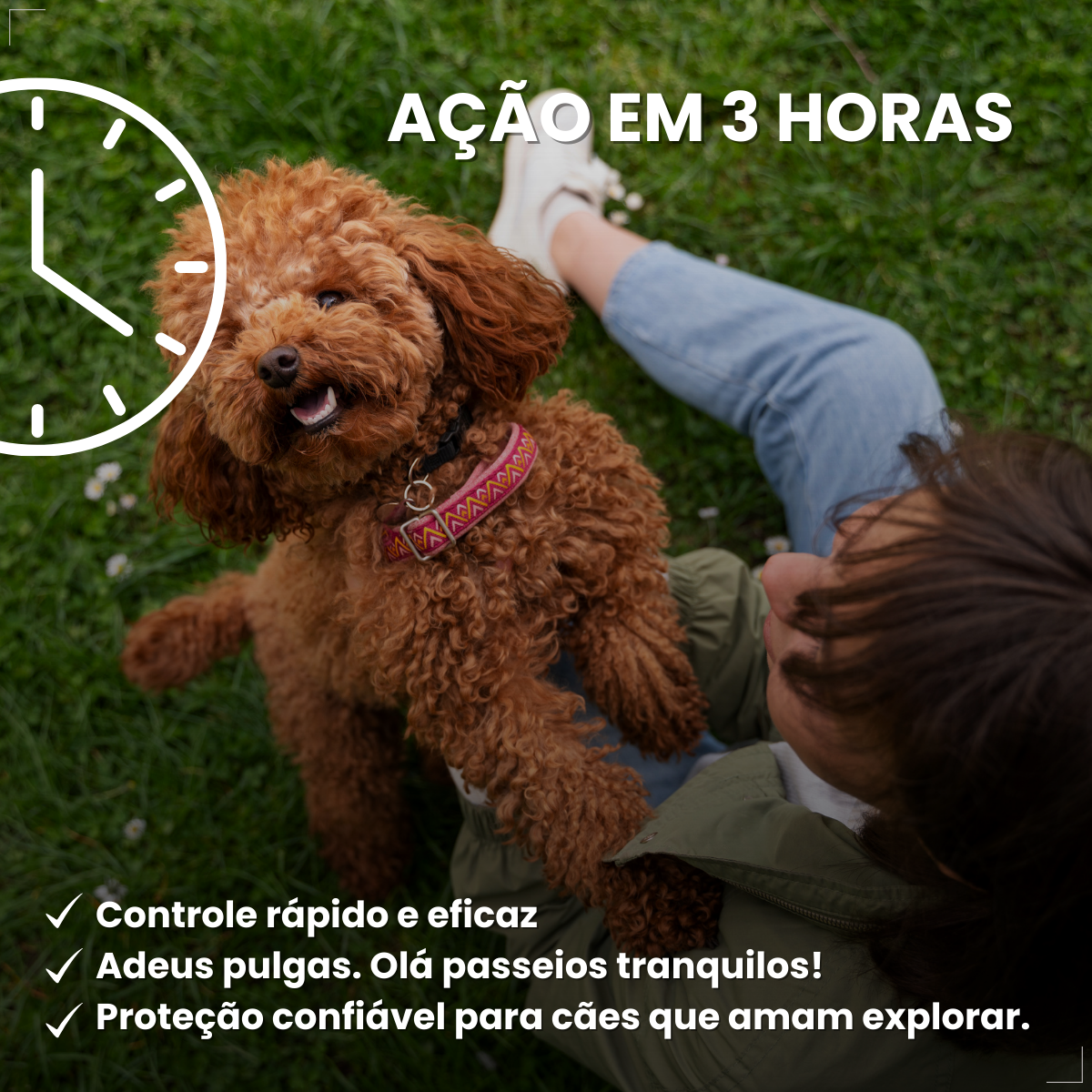 Zoetis Simparic 5 mg para Cães 1,3 a 2,5Kg 3 comprimido pulgas e carrapatos