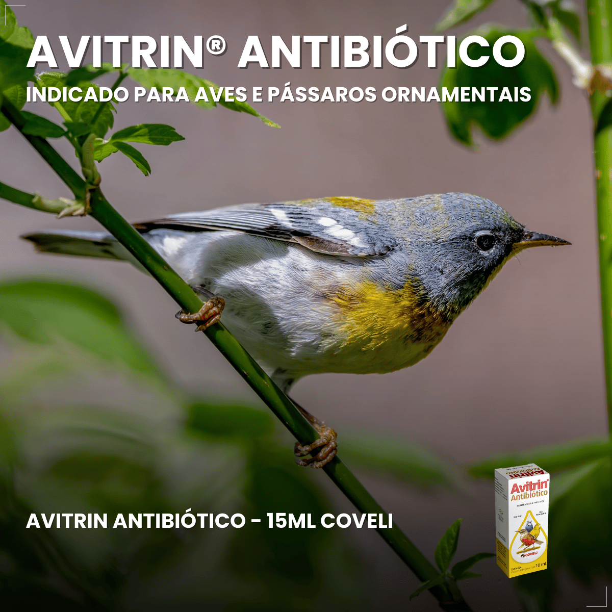 Avitrin Antibiótico 10ml Aves E Pássaros Doentes Debilitados