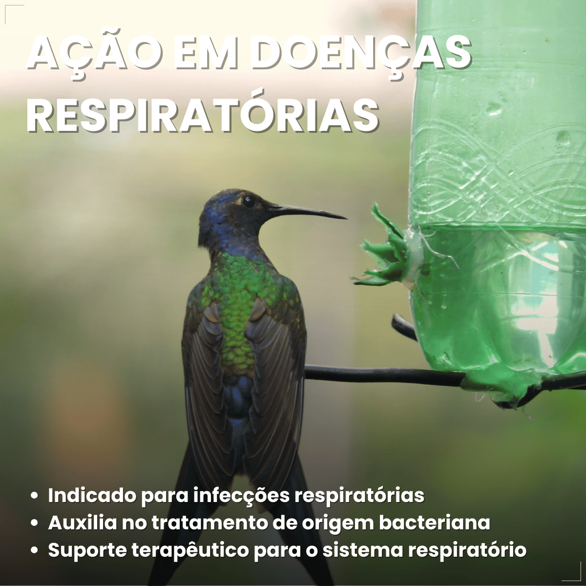 Avitrin Antibiótico 10ml Aves E Pássaros Doentes Debilitados