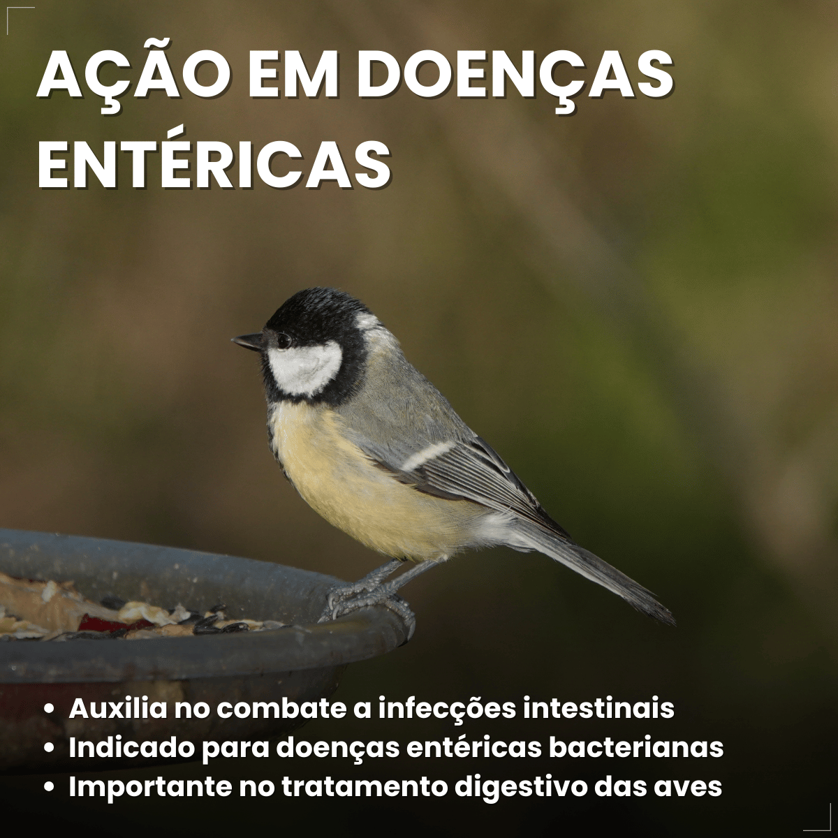 Avitrin Antibiótico 10ml Aves E Pássaros Doentes Debilitados