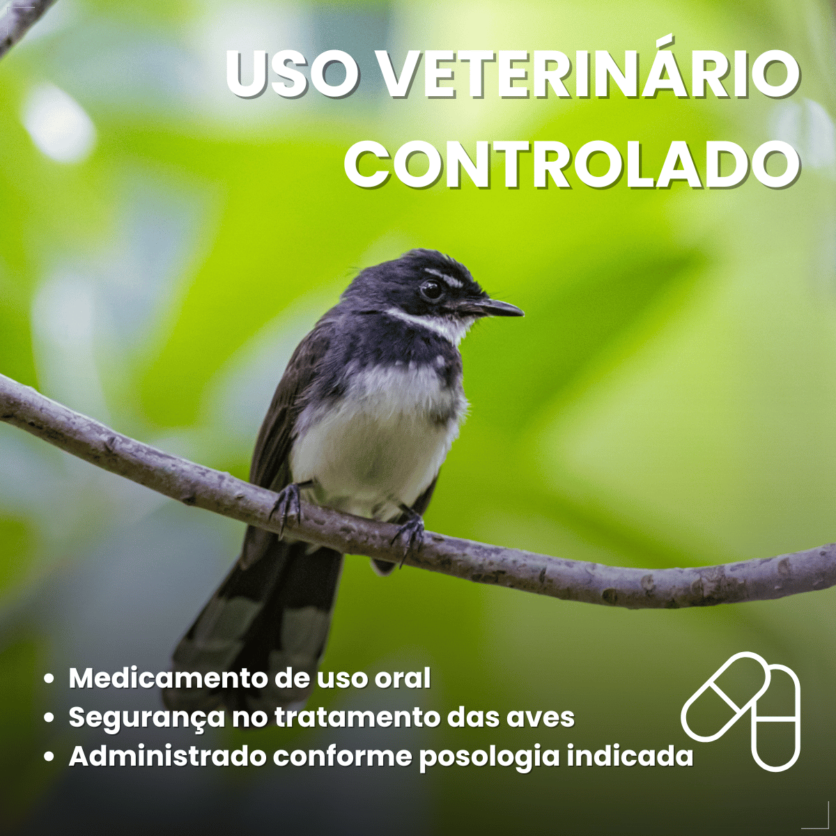 Avitrin Antibiótico 10ml Aves E Pássaros Doentes Debilitados