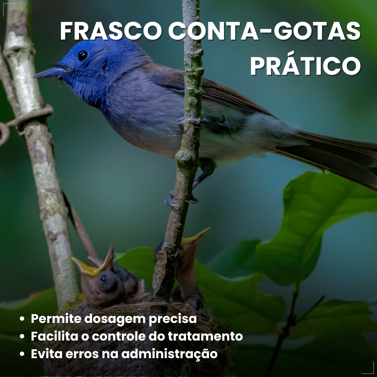 Avitrin Antibiótico 10ml Aves E Pássaros Doentes Debilitados