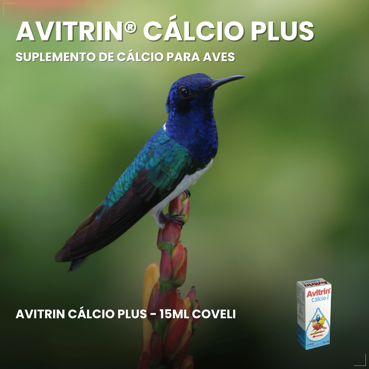 Avitrin Cálcio Plus 15ml Fraqueza Fortalece Ave Passaros