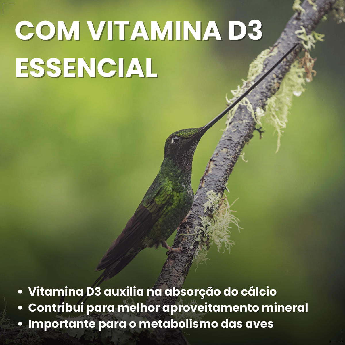 Avitrin Cálcio Plus 15ml Fraqueza Fortalece Ave Passaros